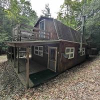 Cozy Cabin on 6 acres of Hunting and Recreational Land in Cohocton NY 9010 Akins Rd images 4