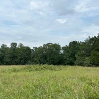 100 - Ranch with Homesites