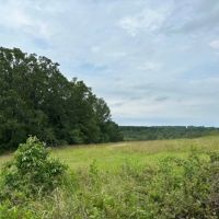 100 - Ranch with Homesites images 3
