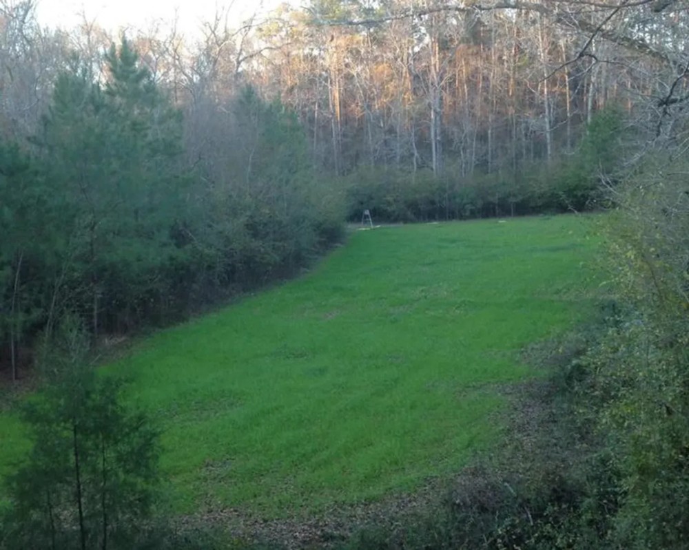 Small Hunting Property in MS Hunting Land for Sale