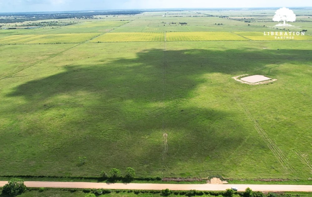 Rock Island Tract 10 14 Acres Only 15K Down featured image
