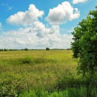 Rock Island Tract 10 14 Acres Only 15K Down images 5