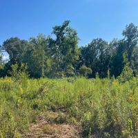 45.51 Acres in Oktibbeha County MS images 5
