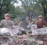 Game Management Unit 27 2,754 acres turkey & bear hunting land in Greenlee, AZ images 4