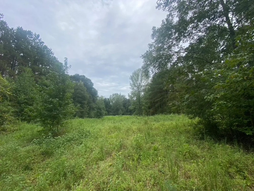 75 acres- Mature Timber- Salem School District featured image