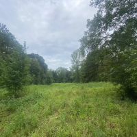 75 acres- Mature Timber- Salem School District