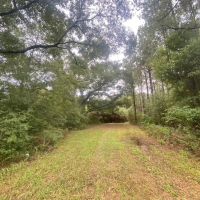 75 acres- Mature Timber- Salem School District images 2