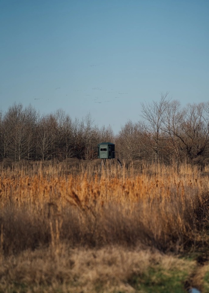 One Equity Share at Lone Cypress LLC in Tallahatchie County MS featured image