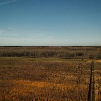 One Equity Share at Lone Cypress LLC in Tallahatchie County MS images 2
