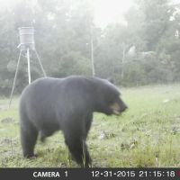 Poverty Hill 199 images 3