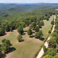Poverty Hill 199 images 4