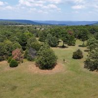 Poverty Hill 199 images 5