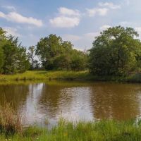 Lone Star Sanctuary - 237 Acres - CR 462 Harwood TX