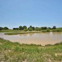 Lone Star Sanctuary - 237 Acres - CR 462 Harwood TX images 2