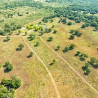 Lone Star Sanctuary - 237 Acres - CR 462 Harwood TX images 3