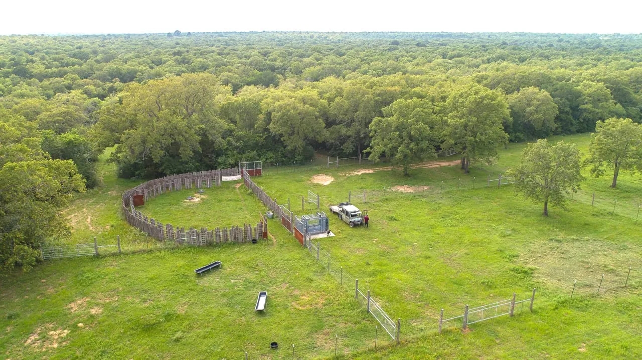 Lone Star Sanctuary 237 Acres CR 462 Harwood TX Hunting Land for Sale