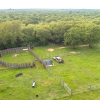 Lone Star Sanctuary - 237 Acres - CR 462 Harwood TX images 4