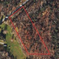 5 acre Building Lot and Recreational Land with Creek in Grove NY CR15B images 2