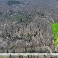 5 acre Building Lot and Recreational Land with Creek in Grove NY CR15B images 3