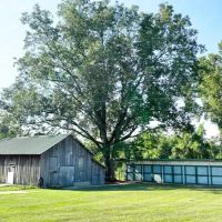50 Acres in Clarke County images 2