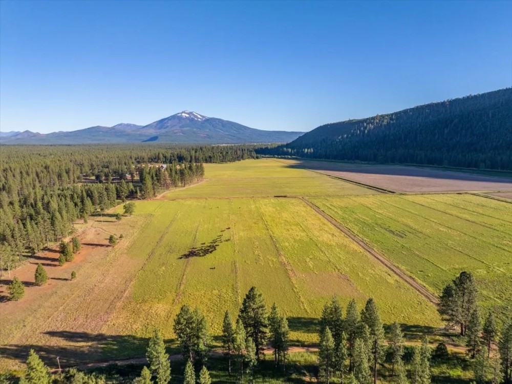 Black Ranch featured image
