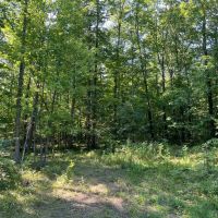 49 acres Woodlands bordering County Forest in Grove NY England Hill Rd