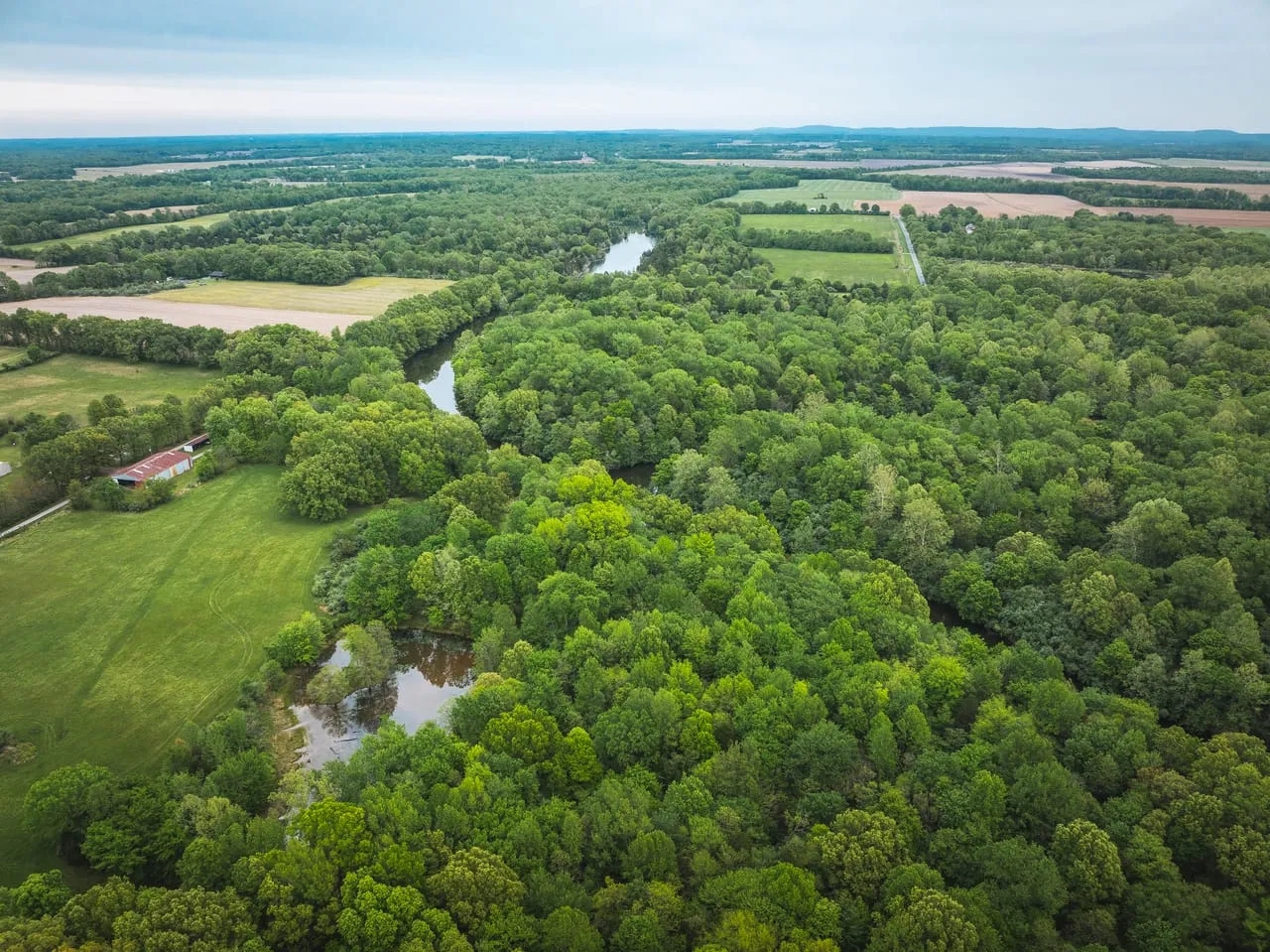 Stonefort 80 Hunting Land for Sale