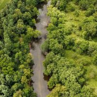 Land For Sale - Prime 112 WRP acres Along Tippecanoe River - Rochester Indiana - Fulton County images 3
