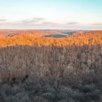 House Springs Hollow