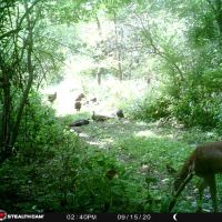 Land For Sale - Perc Tested 4.3 - Acres On Eel River - Kosciusko County - North Manchester IN images 4
