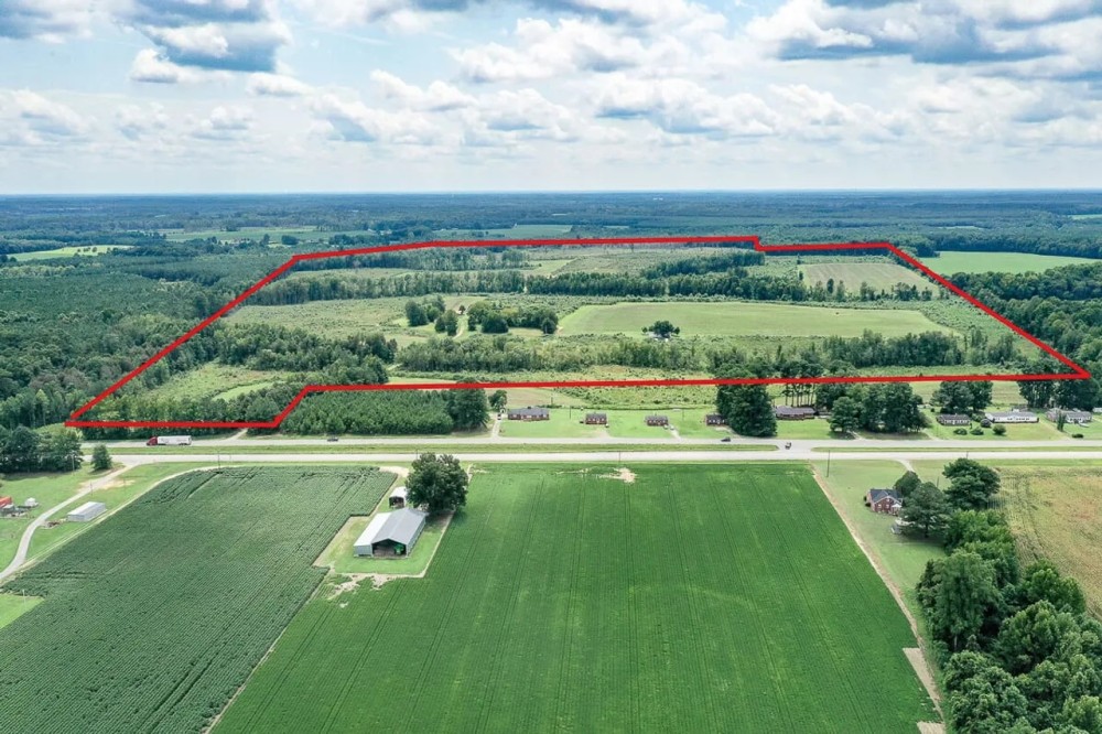 230 Acres of Farmland For Sale in Southampton County VA featured image