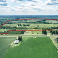230 Acres of Farmland For Sale in Southampton County VA