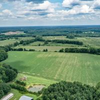 230 Acres of Farmland For Sale in Southampton County VA images 3