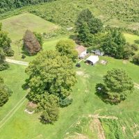 230 Acres of Farmland For Sale in Southampton County VA images 4