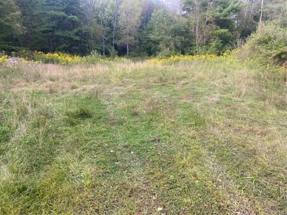 13 acre Building Lot and Recreational Land in Belfast NY 6956 County Road 17 featured image