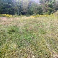 13 acre Building Lot and Recreational Land in Belfast NY 6956 County Road 17