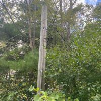 13 acre Building Lot and Recreational Land in Belfast NY 6956 County Road 17 images 3
