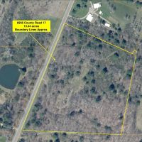 13 acre Building Lot and Recreational Land in Belfast NY 6956 County Road 17 images 4