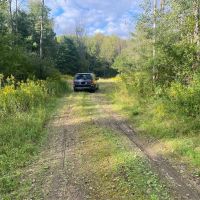 13 acre Building Lot and Recreational Land in Belfast NY 6956 County Road 17 images 5
