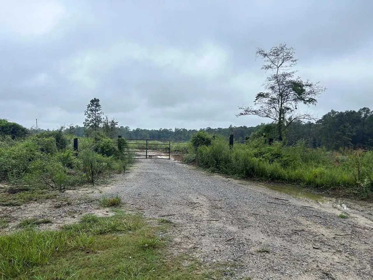 Vancleave MS Land for Sale 112 Acres Hunting Land for Sale