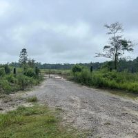 Vancleave MS Land for Sale 112 - Acres