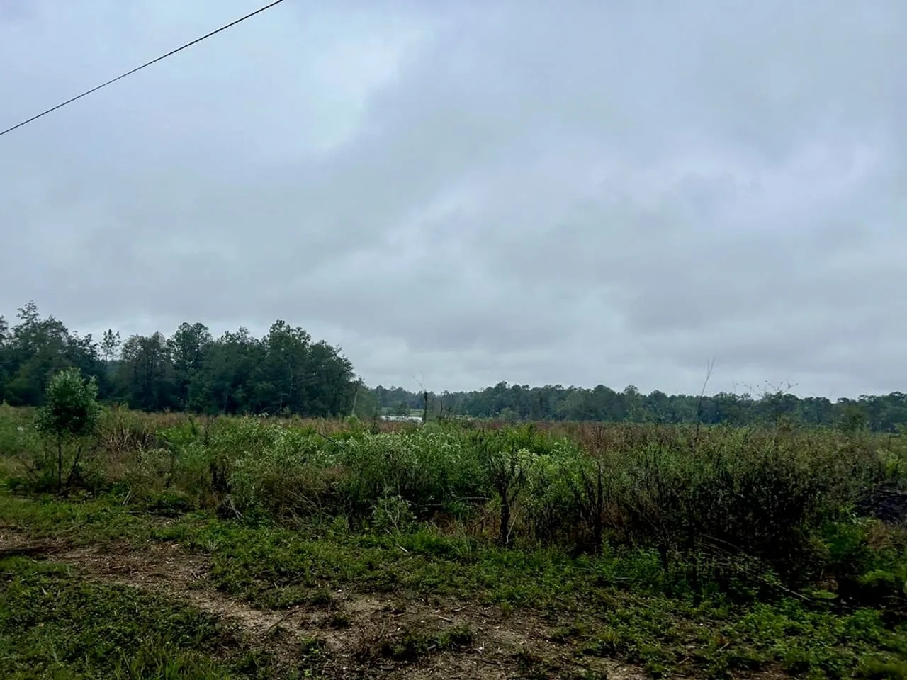 Vancleave MS Land for Sale 112 Acres Hunting Land for Sale