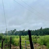 Vancleave MS Land for Sale 112 - Acres images 5