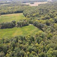 Friendly Grove 119