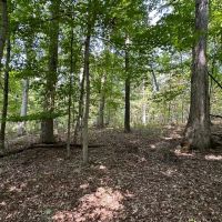 Friendly Grove 119 images 2