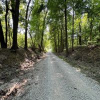 Friendly Grove 119 images 4