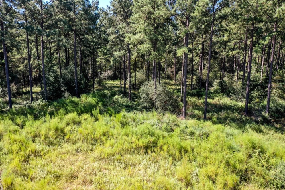 00 Trinlady Park Road Trinity TX 75862 featured image