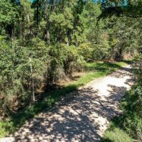 00 Trinlady Park Road Trinity TX 75862 images 4