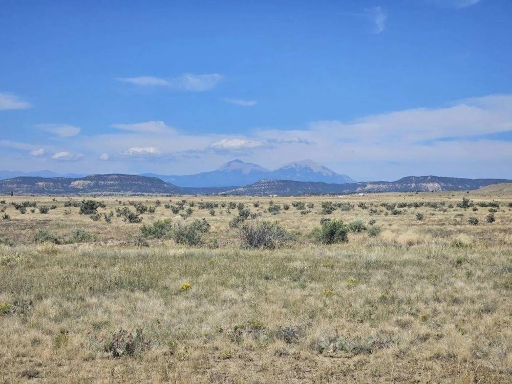 23 Black Hills Ranch featured image