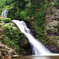 461 Acres Brasstown Creek Heritage WMA Beer hunting land in Oconee, SC